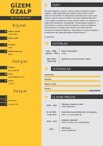 Müzik Öğretmeni Cv Örnekleri cv indir